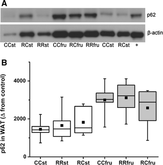 Fig. 9