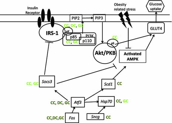 Fig. 4