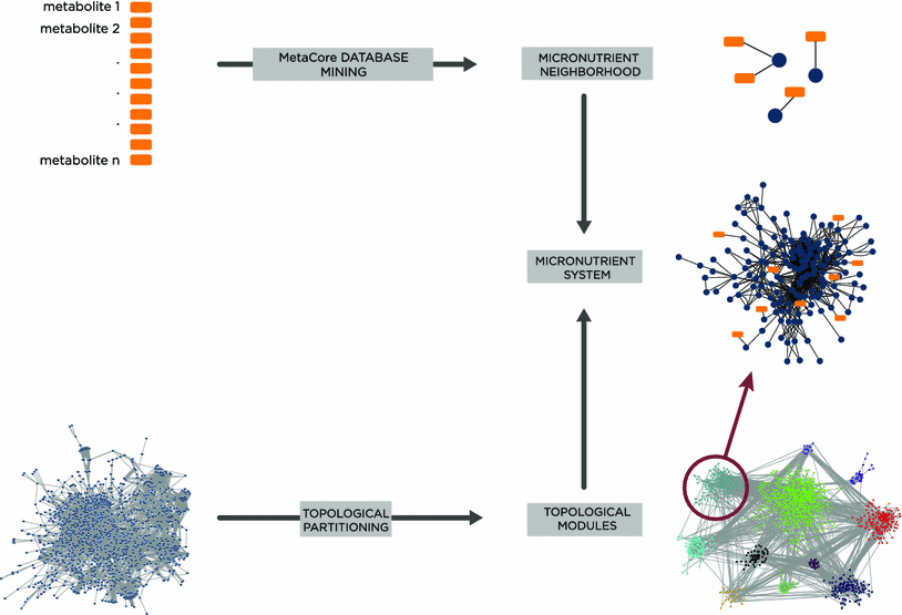 Fig. 3