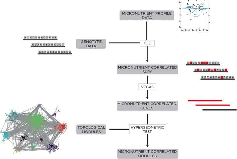 Fig. 4