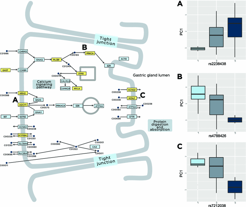 Fig. 7