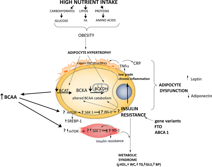 Fig. 6