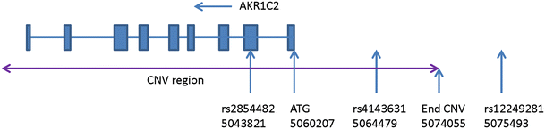 Fig. 2