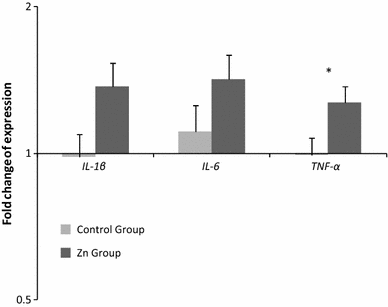 Fig. 1