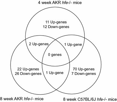 Fig. 3