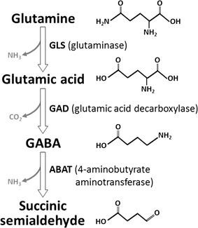 Fig. 1