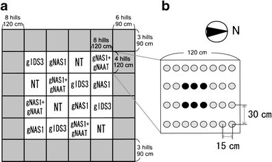 Fig. 3