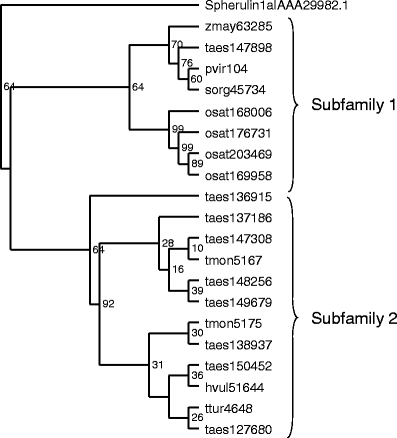 Fig. 3