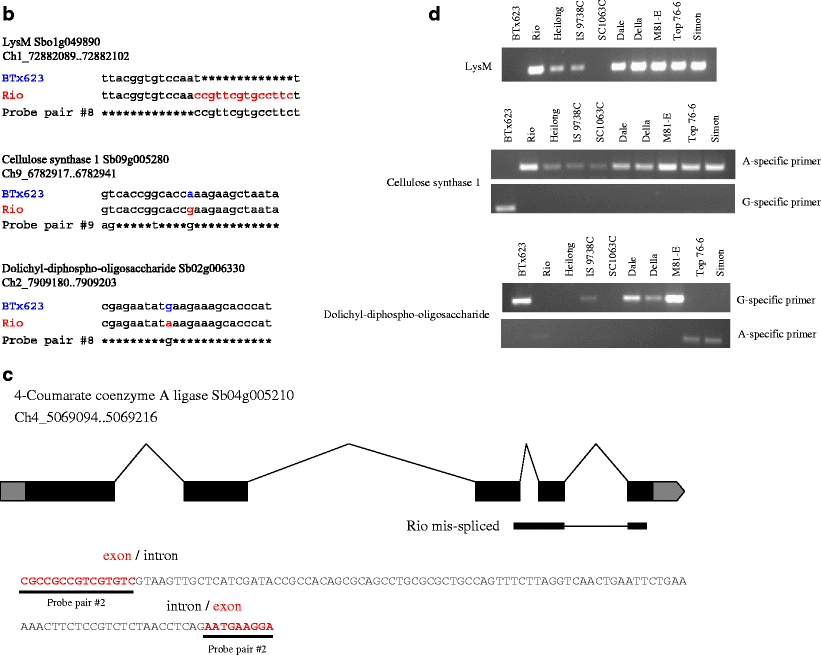 Fig. 5