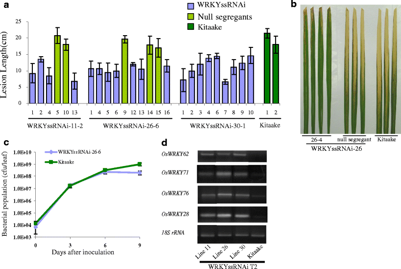 Fig. 4