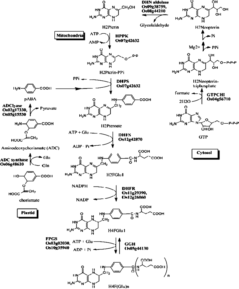 Fig. 2