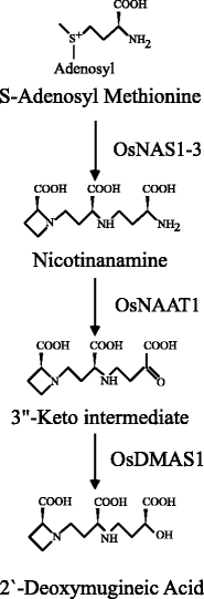 Fig. 1