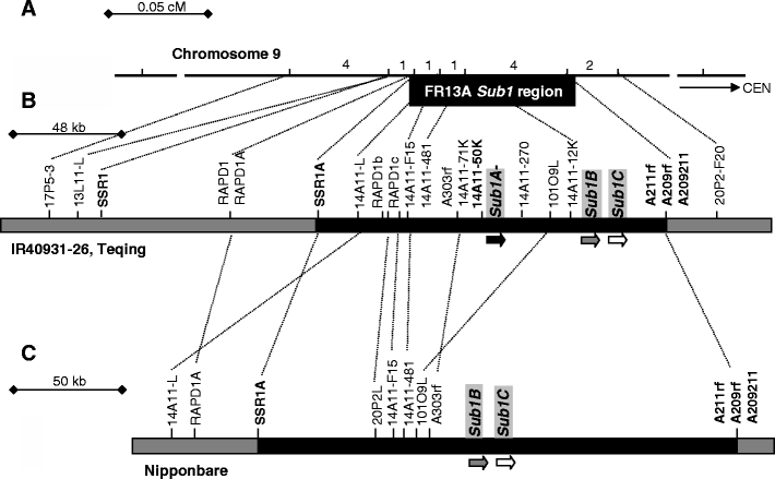 Fig. 5