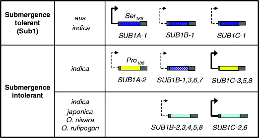 Fig. 6