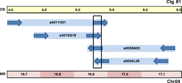 Fig. 4