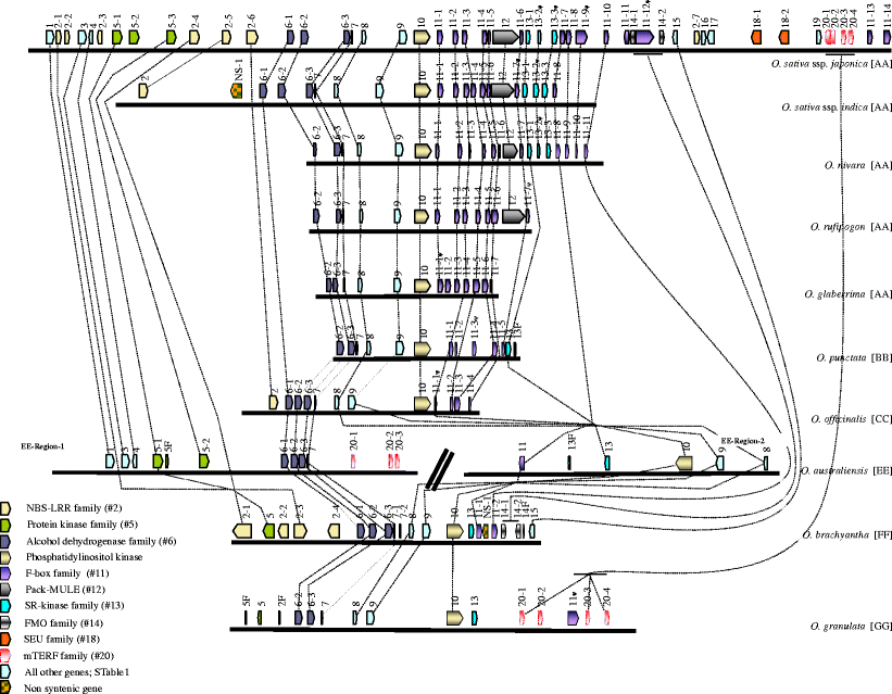 Fig. 7