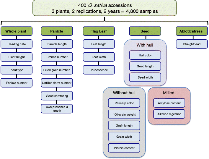 Fig. 3