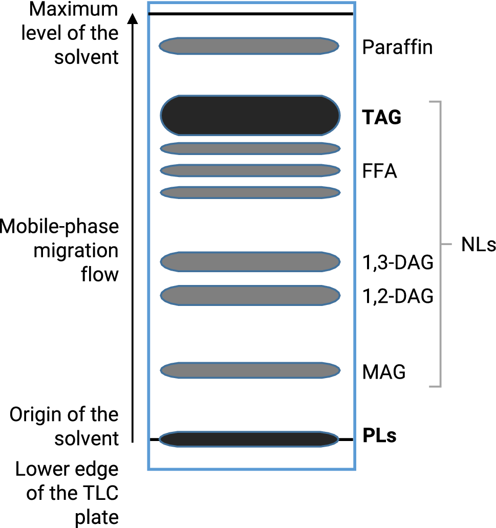 Figure 1 | The cadmium-induced changes in the polar and neutral lipid  compositions suggest the involvement of triacylglycerol in the defense  response in maize | SpringerLink