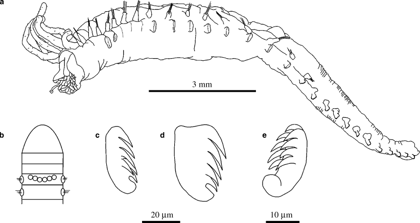 Fig. 7