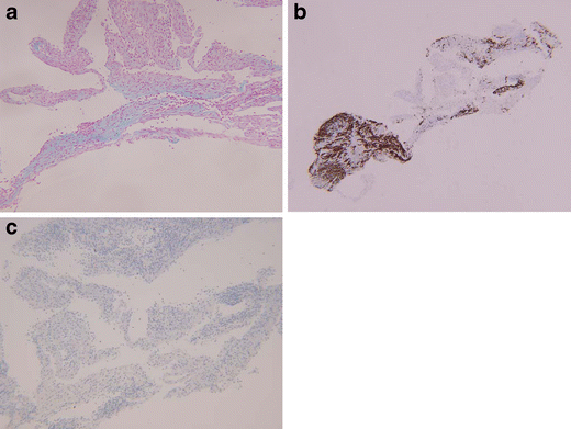 Fig. 5