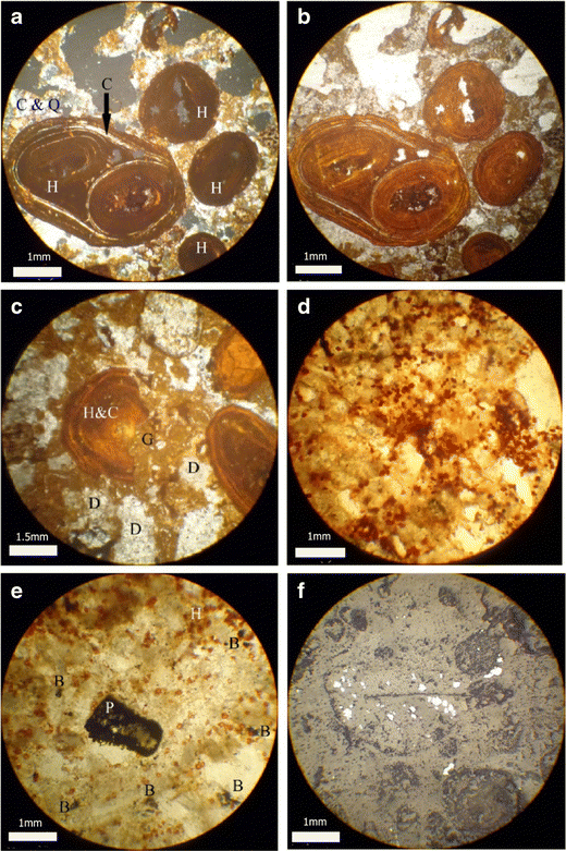 Figure 6 | Iron mineralization in the Garagu Formation of Gara Mountain,  Duhok Governorate, Kurdistan, NE Iraq: geochemistry, mineralogy and origin  | SpringerLink