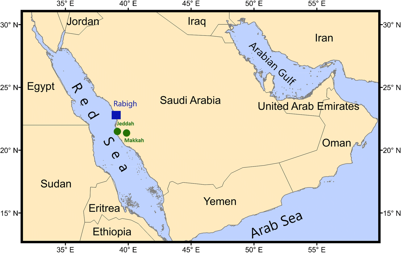 Rabigh Saudi Arabia Map Figure 1 | Soil Site Characterization Of Rabigh City, Western Saudi Arabia  Coastal Plain, Using Hvsr And Hvsr Inversion Techniques | Springerlink