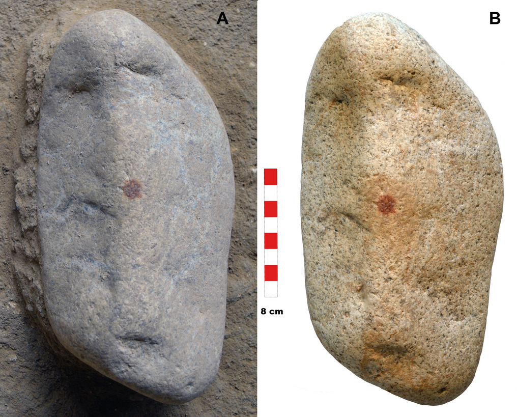 Fig. 1