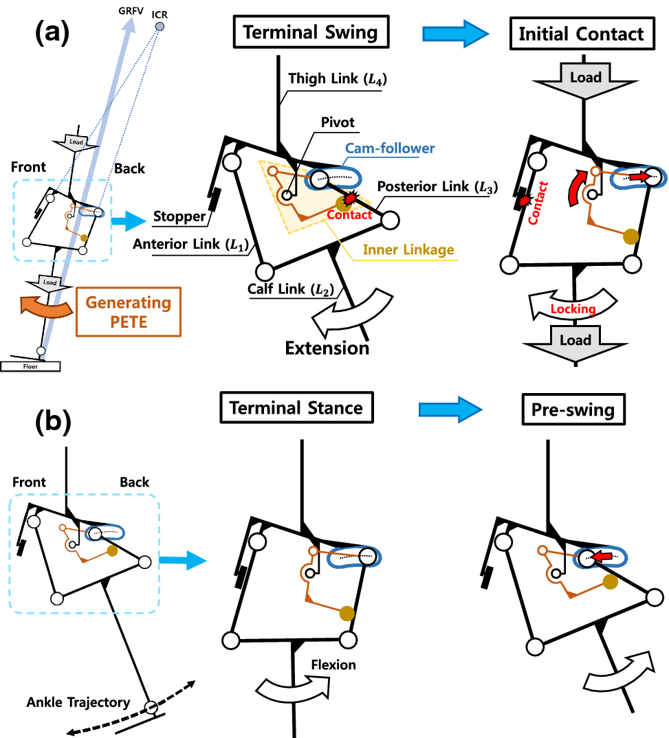 Figure 4 Development Of A Passive Modular Knee Mechanism For A Lower Limb Exoskeleton Robot And Its Effectiveness In The Workplace Springerlink