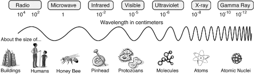 Fig. 2