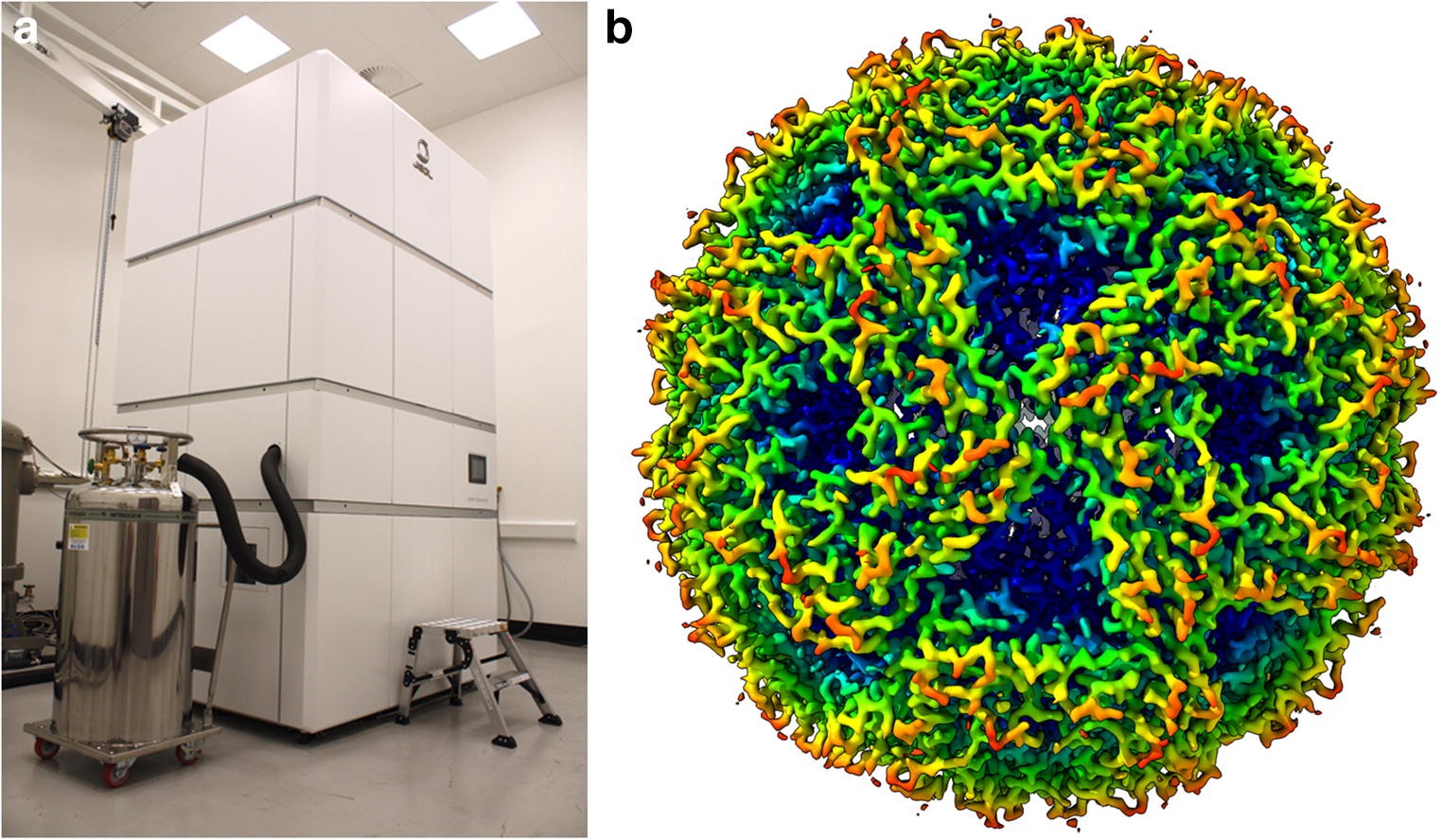 https://media.springernature.com/full/springer-static/image/art%3A10.1007%2Fs12551-019-00571-w/MediaObjects/12551_2019_571_Fig2_HTML.jpg