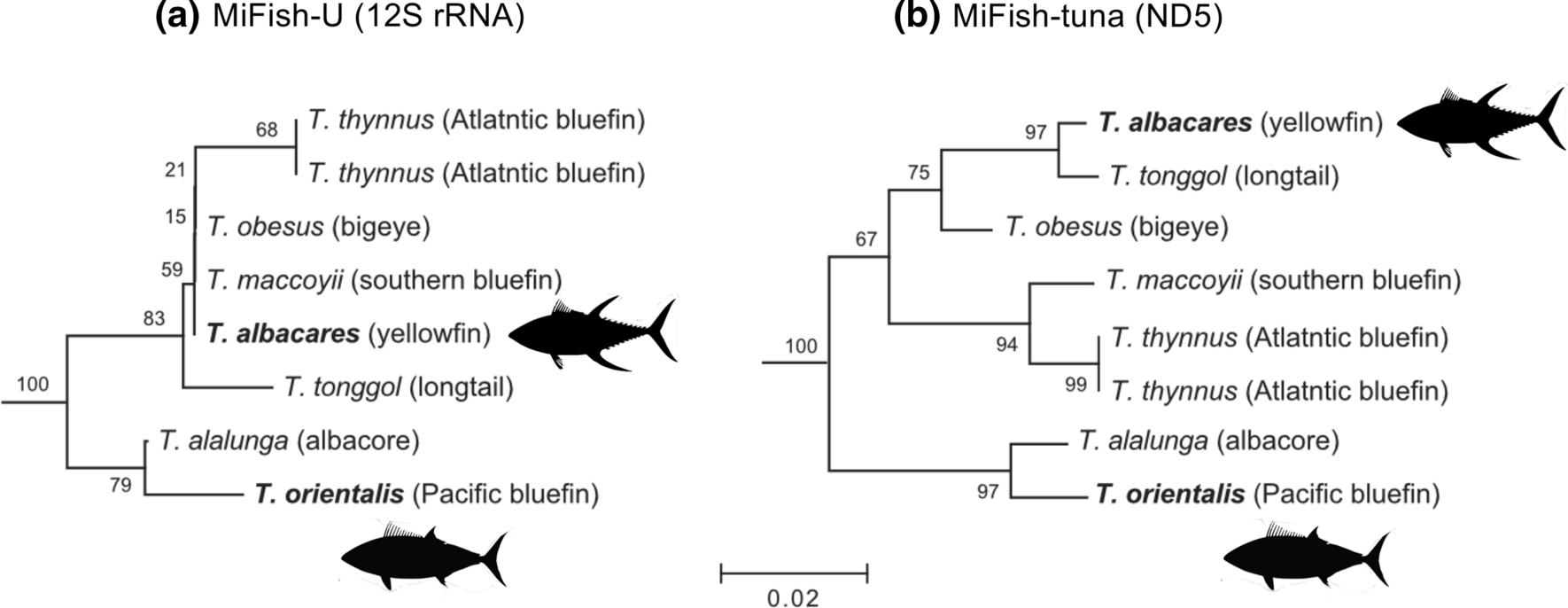 Fig. 8