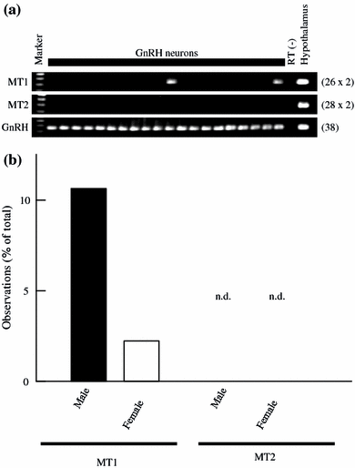 Fig. 7