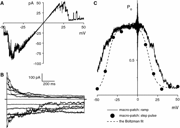 Fig. 3