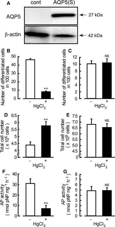 Fig. 6