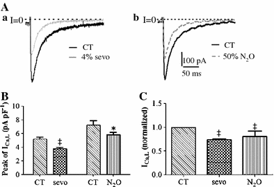 Fig. 5