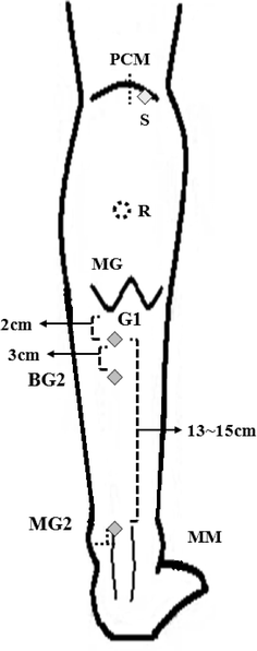 Fig. 1