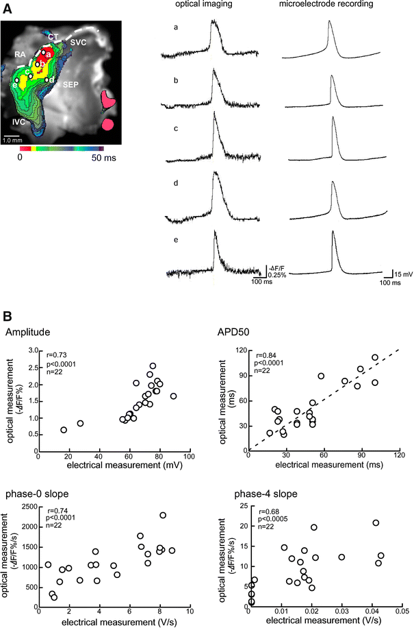 Fig. 3