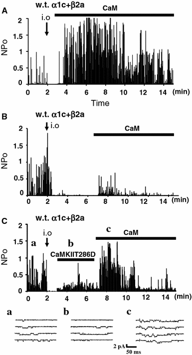 Fig. 2