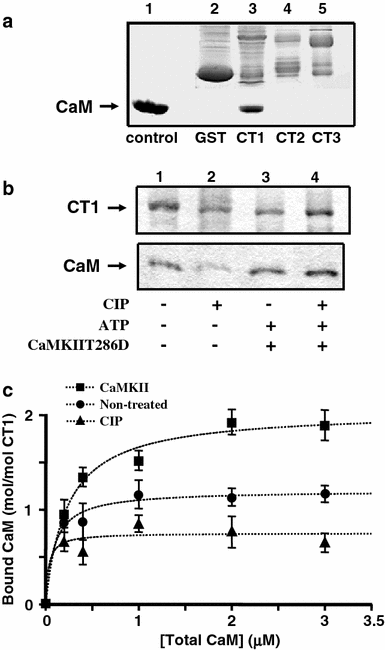 Fig. 4