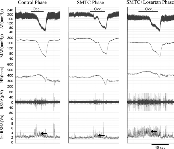 Fig. 2