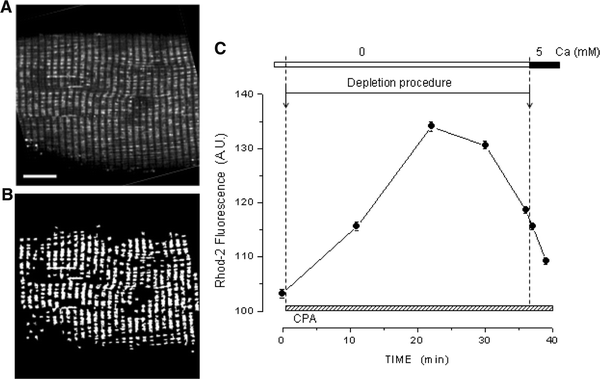 Fig. 7