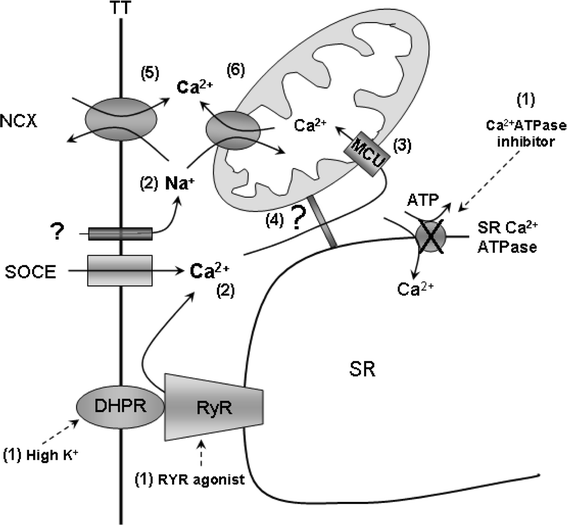 Fig. 9