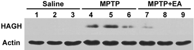 Fig. 5