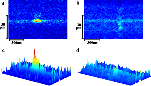 Fig. 2