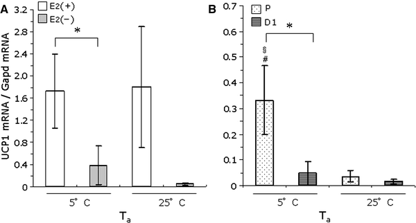 Fig. 5