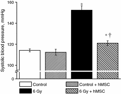 Fig. 6