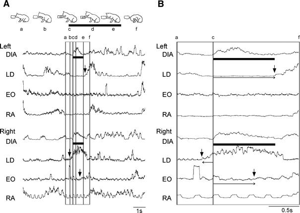 Fig. 4