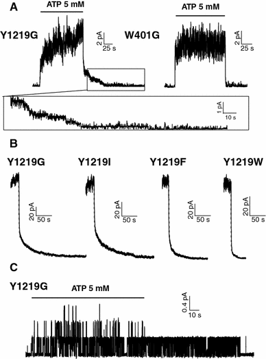 Fig. 2