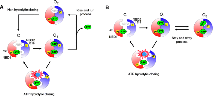 Fig. 6