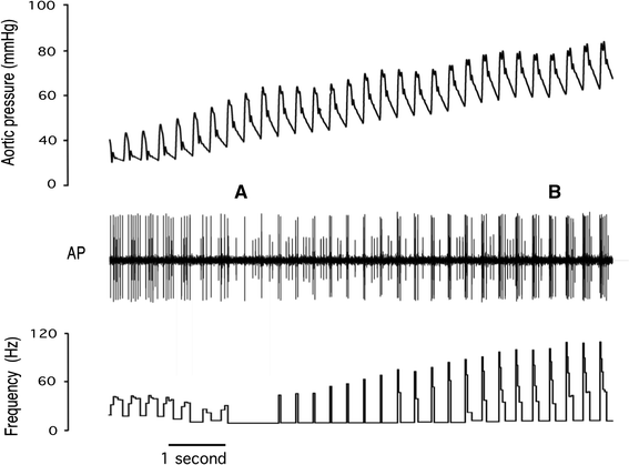 Fig. 6